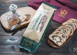 黄健翔经典解说意大利文字版